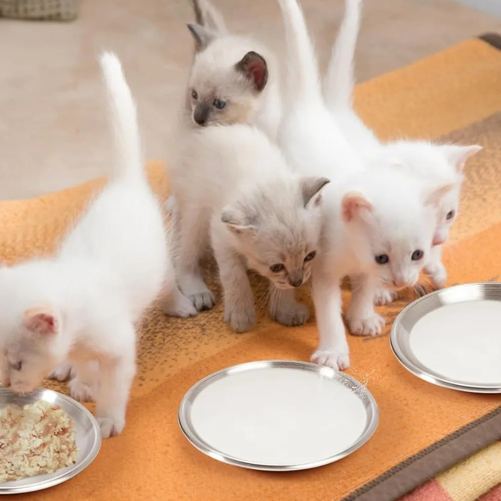 Whisker Friendly Stainless Steel Cat Bowls with Non Slip Base