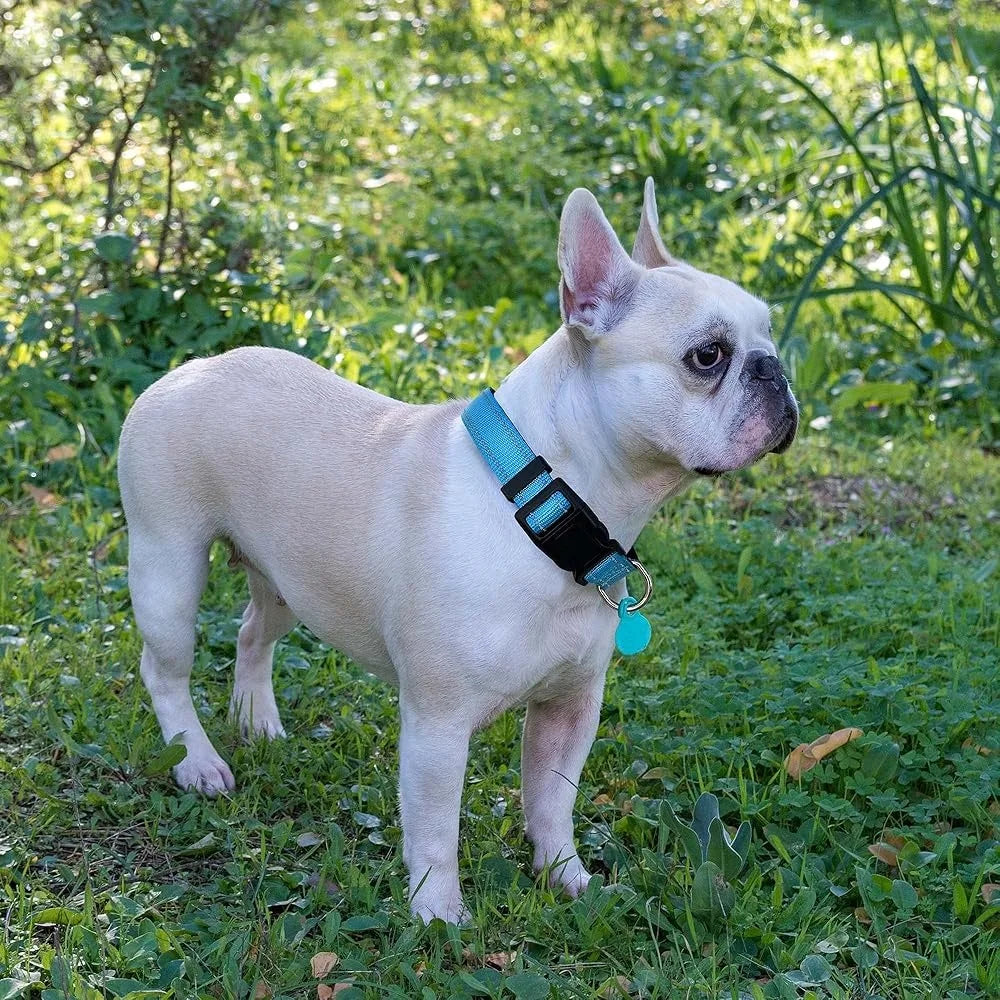 Ladoogo Reflective Padded Dog Collar Neoprene Nylon Durable