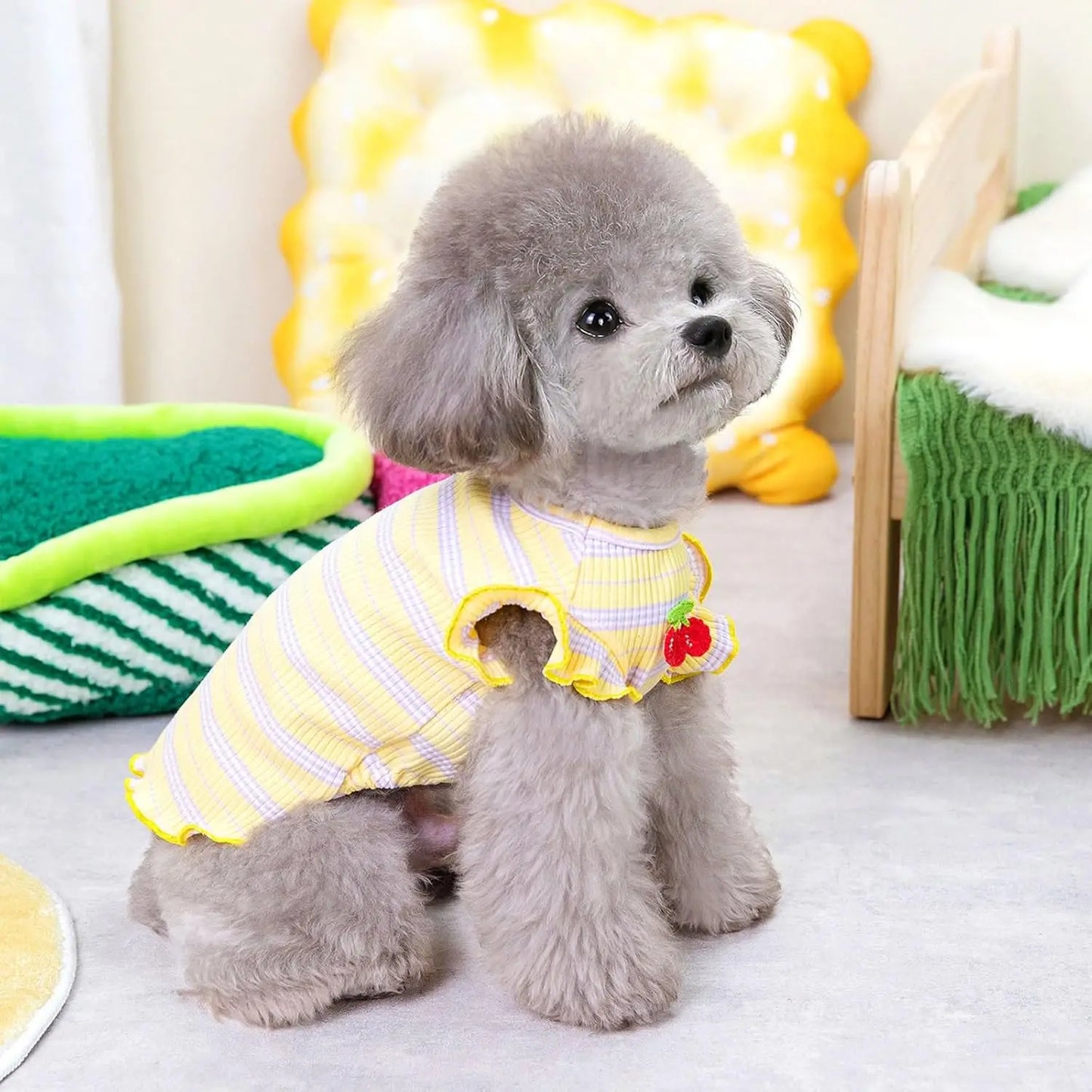 Zhejiang Dog T Shirt 2 Pack Striped Cherry Print Cotton