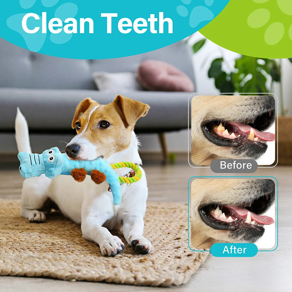Durable Dog Squeaky Plush Toy Pack Tug of War Toys