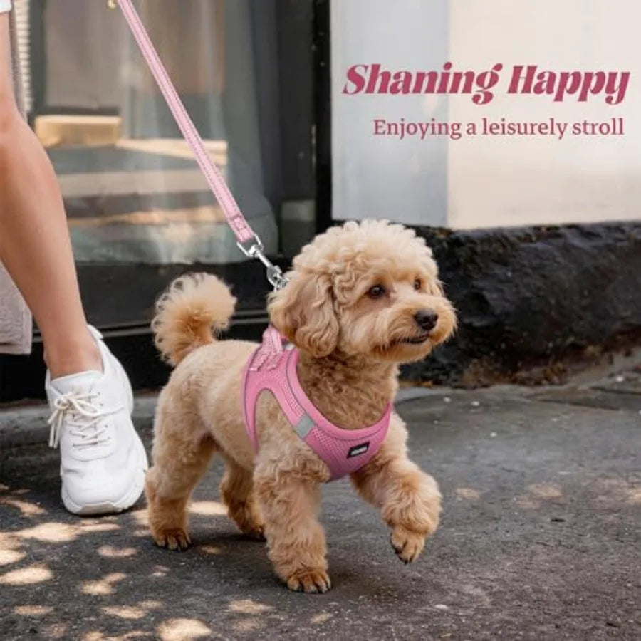 Reflective No Pull Dog Harness and Leash Set with Mesh