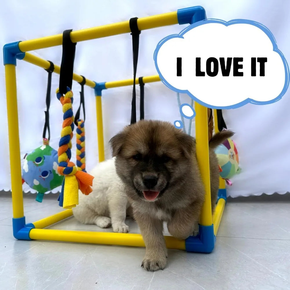 Puppy Play Gym By Hign-concerned With 8 Hanging Toys Indoor