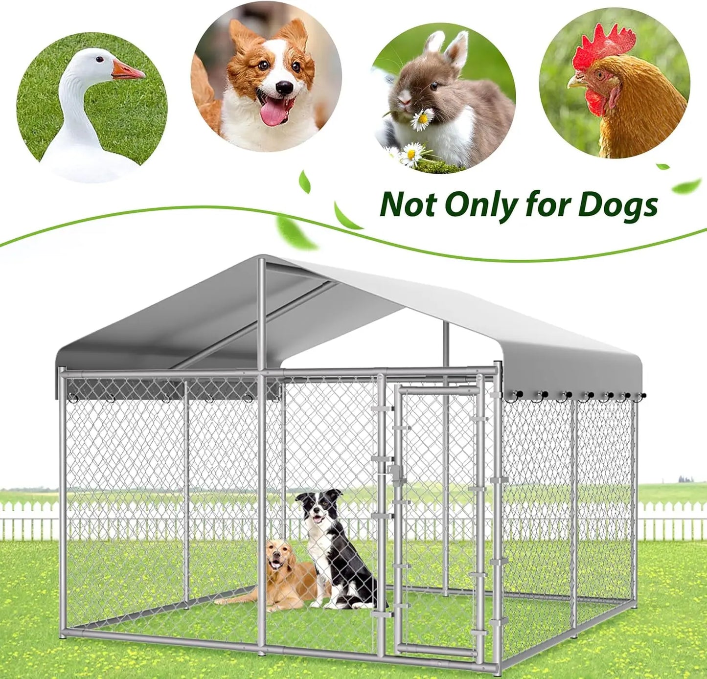 Outdoor Dog Kennel With Roof And Galvanized Chain Link Lock