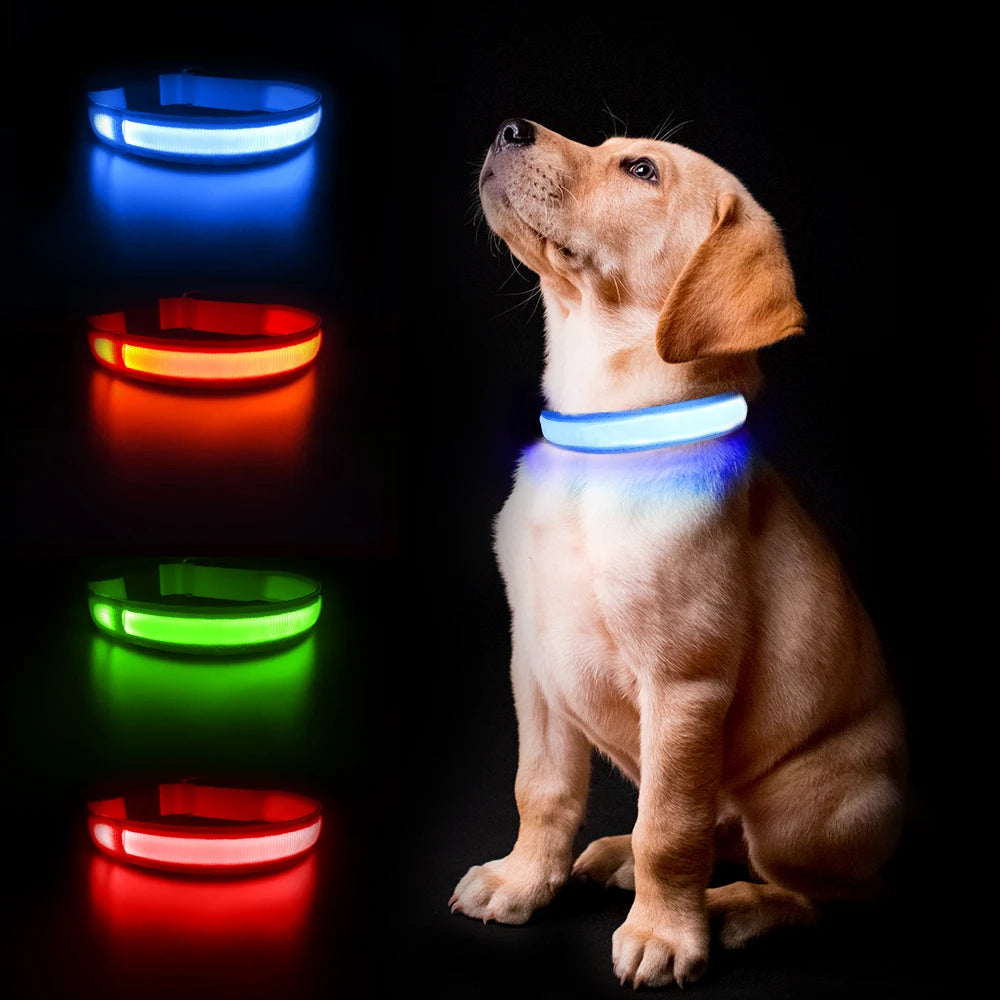 MASBRILLCN LED Dog Collar Waterproof Glow Necklace