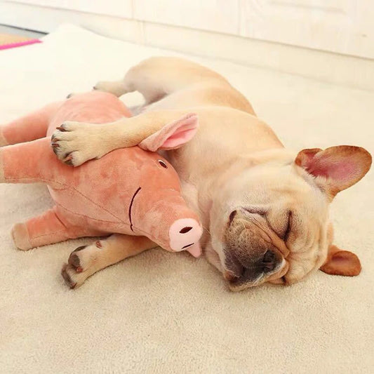 XLeiPet Plush Pig Toy for Small Dogs Puppy Playtime