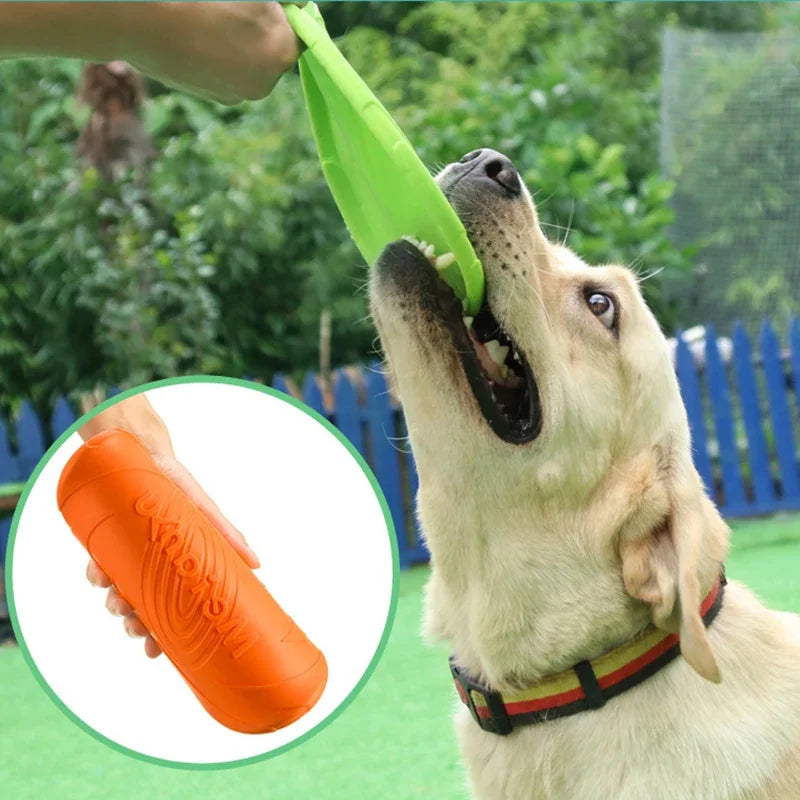 Dog Flying Disc Toy For Outdoor Play Chew Interactive Training