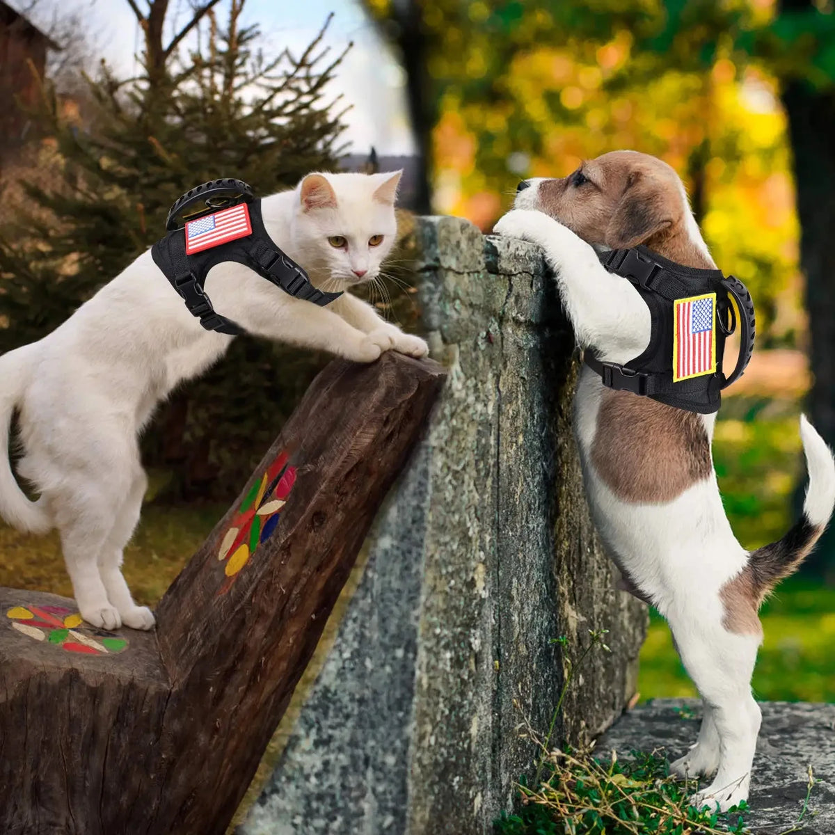 PETRAVEL Tactical Puppy Harness And Leash Set For Training