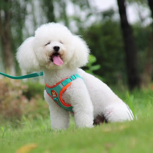 NONECN Reflective Harness Vest With Leash Breathable Mesh Padding