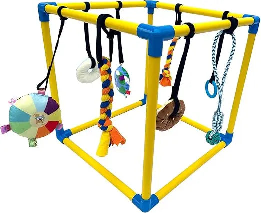 Puppy Play Gym By Hign-concerned With 8 Hanging Toys Indoor