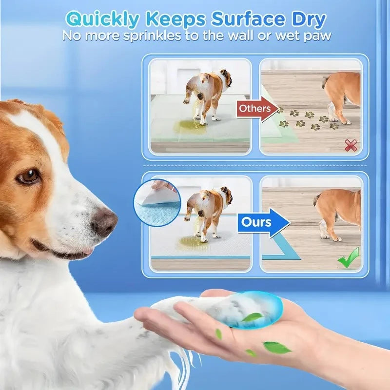Dog Litter Pee Pads Six Layer Leak Proof Quick Dry