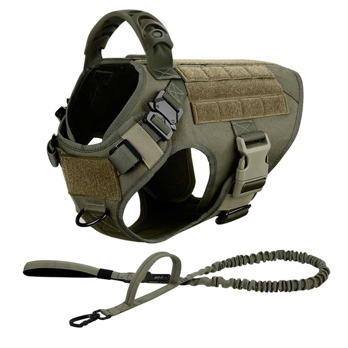 PETRAVEL Padded Dog Harness and Leash Set for Training Walks