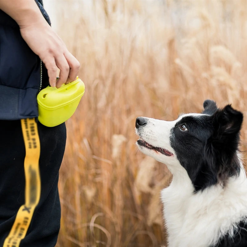 Pet Treat Bag For Dog Training And Outdoor Obedience