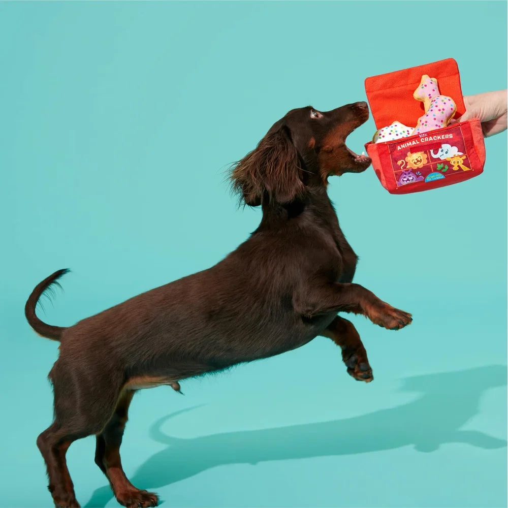 XMSJ Multicolor Plush Dog Toy with Squeakers and Crinkle