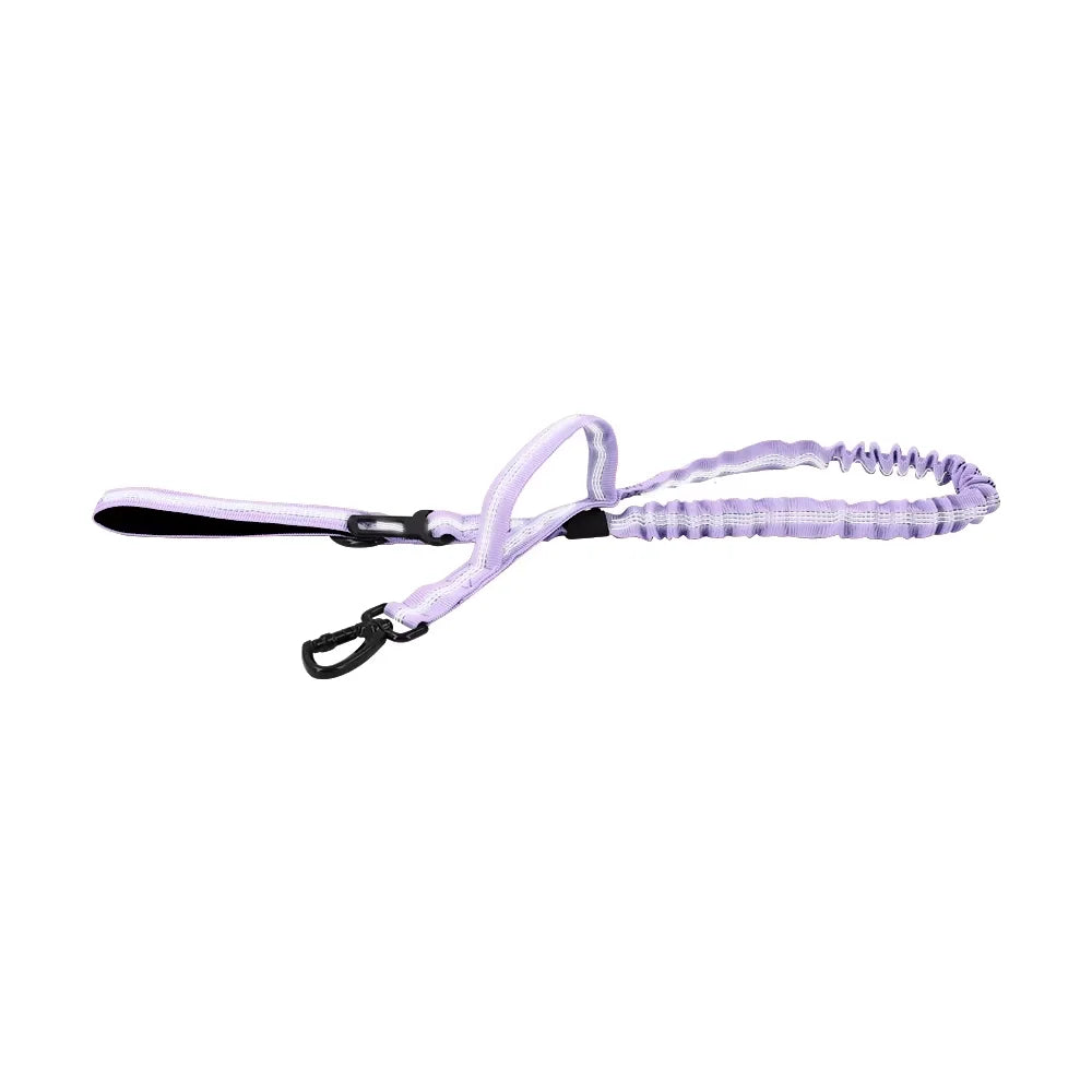 PETRAVEL Military Dog Leash with Dual Handles and Quick Release