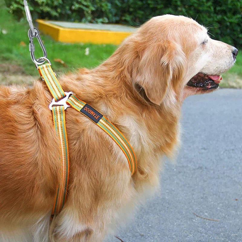 Double Headed Dog Tie Out Cable Leash With Metal Buckle