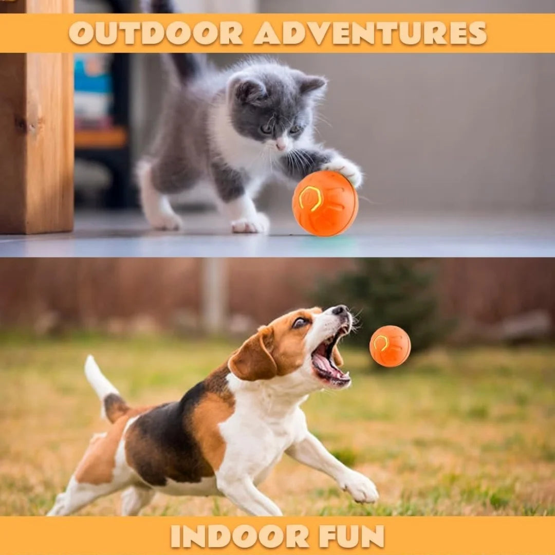 Smart Bouncing Automatic Pet Ball With Random Motion