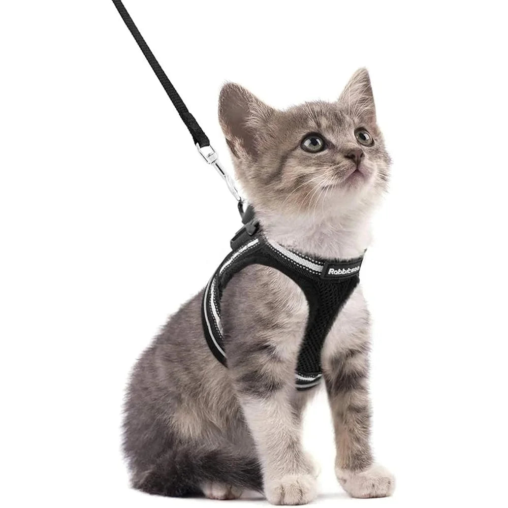 Fujian Cat Harness And Leash Set Adjustable Vest Reflective