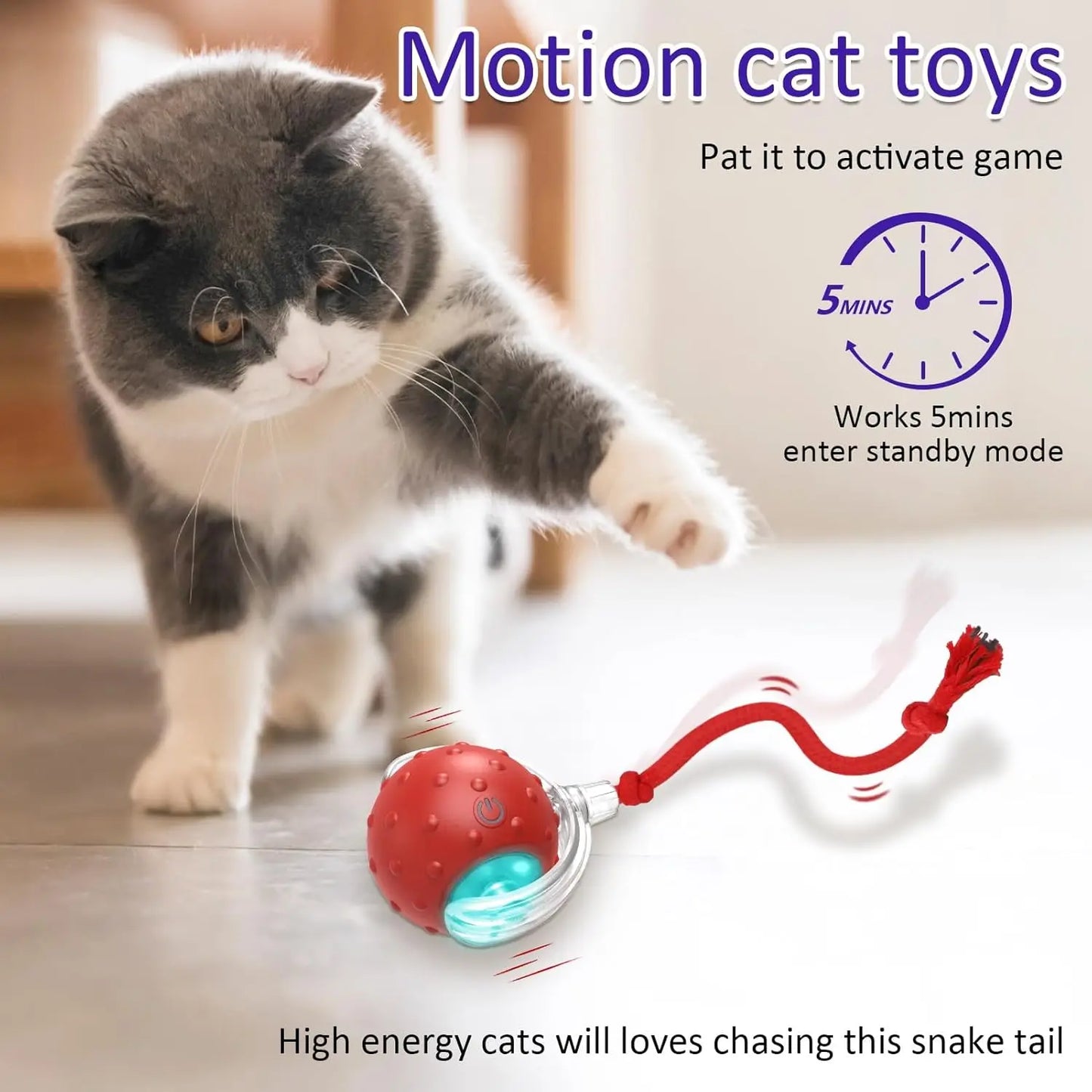 Zhejiang Interactive Cat Toy Ball For Indoor Cats Chirping