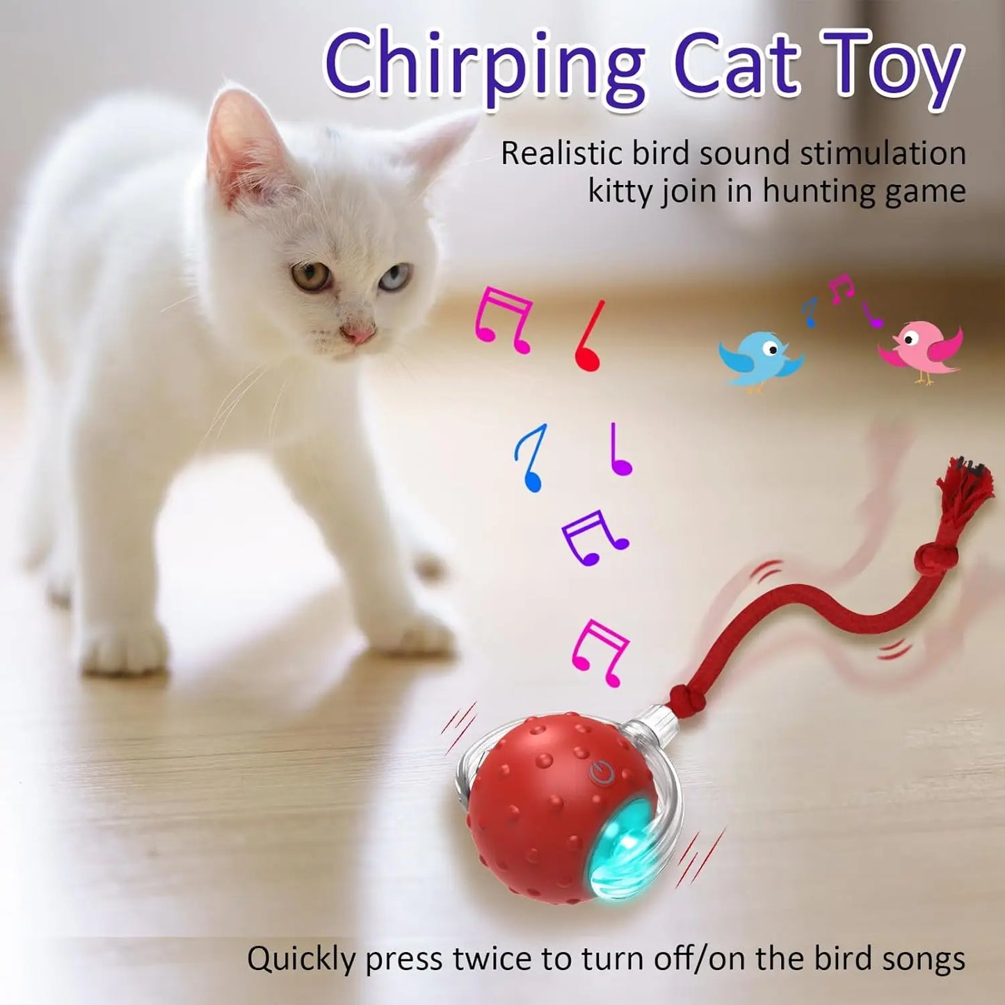 Zhejiang Interactive Cat Toy Ball For Indoor Cats Chirping