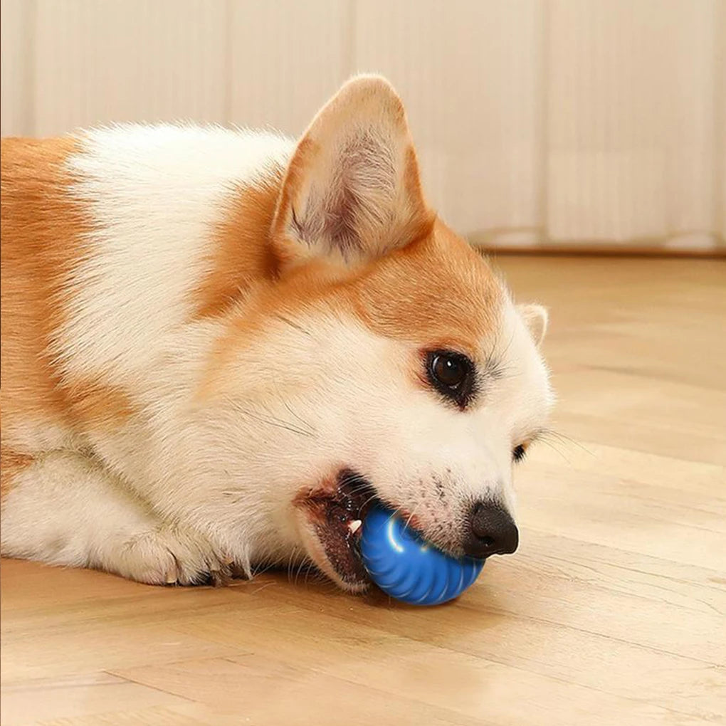 Hign-concerned Wear Resistant Rolling Ball Smart Dog Toy