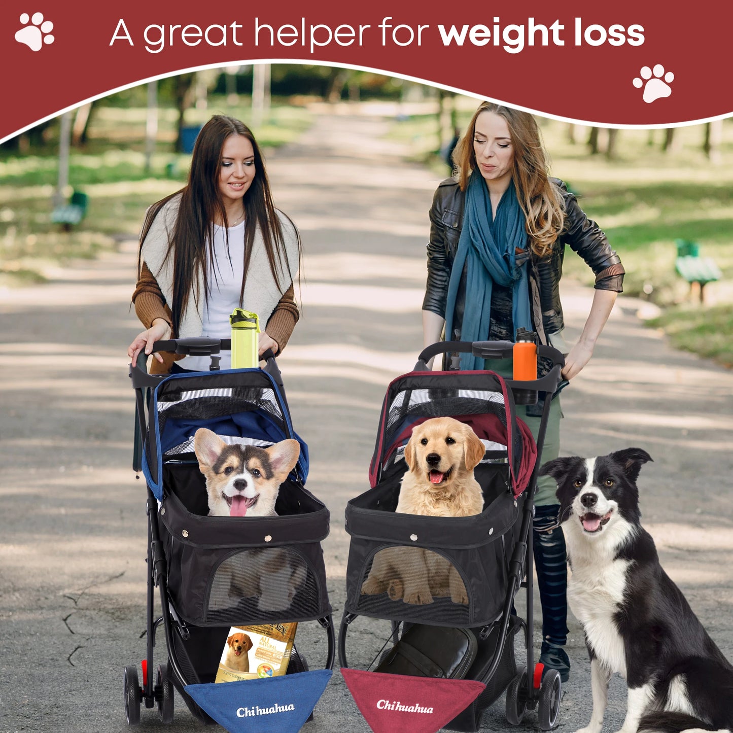 CHIHUAHUA Pet Stroller Three Wheel Foldable Travel Carrier Outdoor