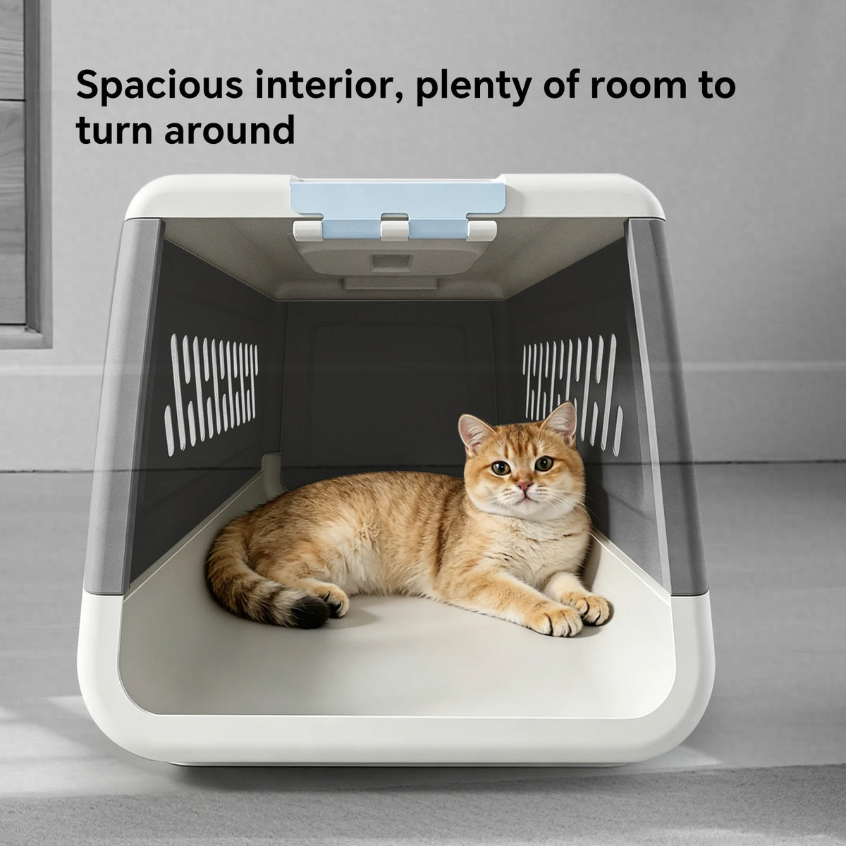 Ventilated Pet Travel Carrier Box with Removable Easy Clean Design