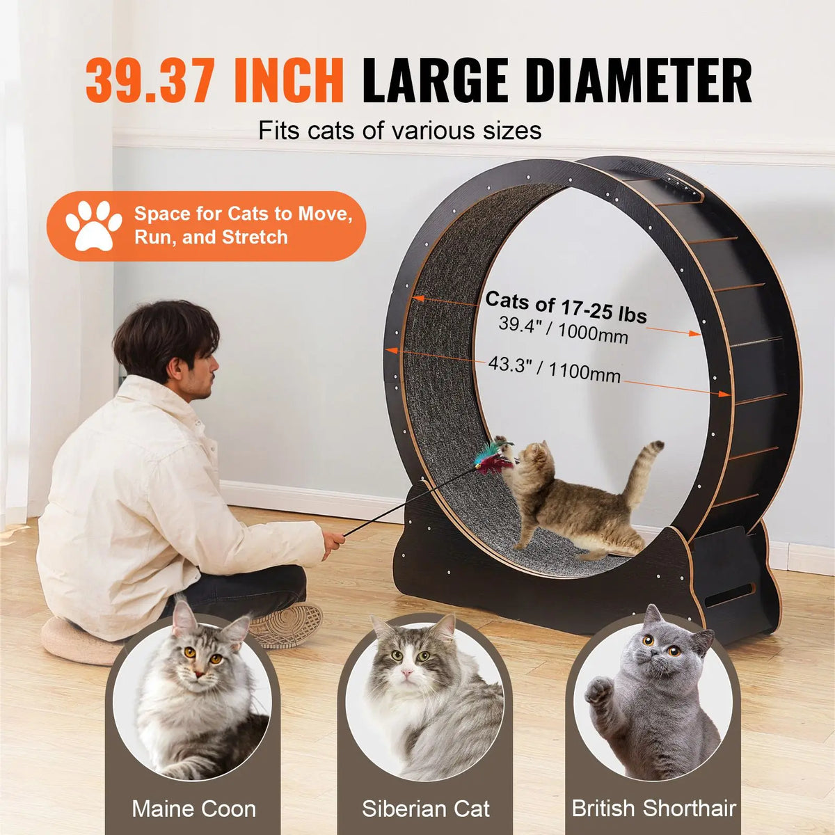 Indoor Cat Exercise Wheel With Detachable Carpet And Teaser for Training