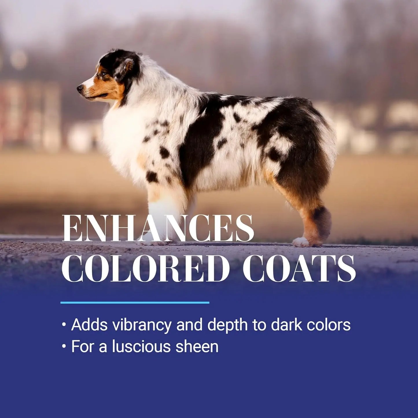 XMSJ Whitening Treatment Dog Shampoo for Pets Everyday