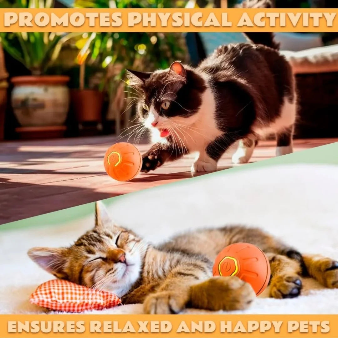 Smart Bouncing Automatic Pet Ball With Random Motion