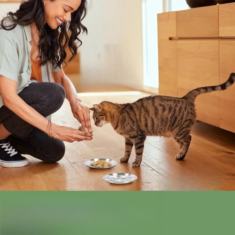 Whisker Friendly Stainless Steel Cat Bowls with Non Slip Base
