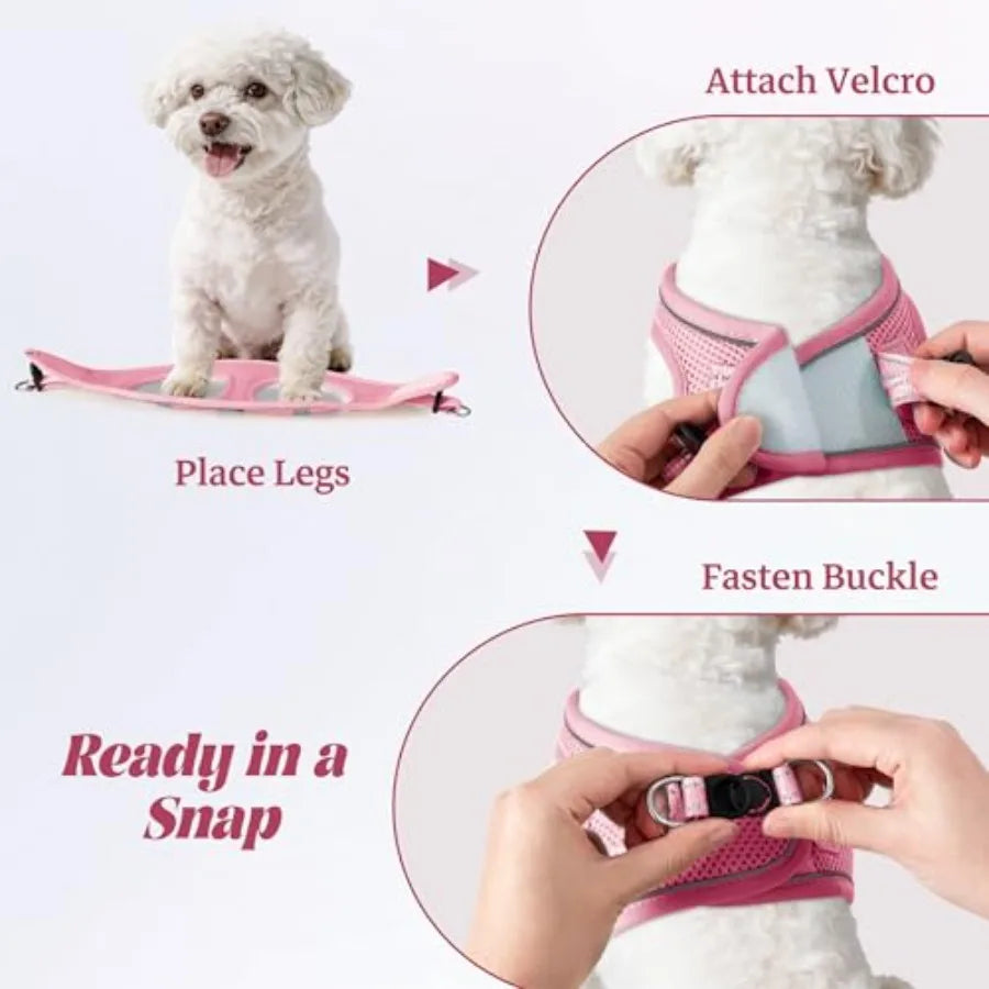 Reflective No Pull Dog Harness and Leash Set with Mesh