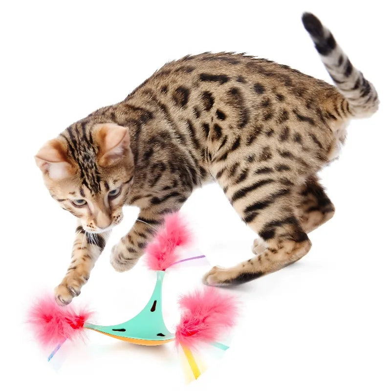 Interactive Cat Toy Promoting Exercise Play And Mental Stimulation