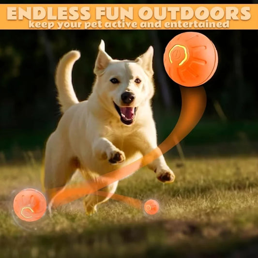 Smart Bouncing Automatic Pet Ball With Random Motion