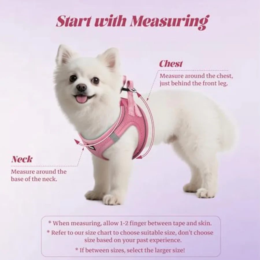 Reflective No Pull Dog Harness and Leash Set with Mesh