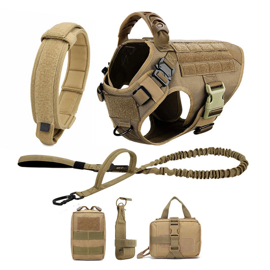PETRAVEL Padded Dog Harness and Leash Set for Training Walks