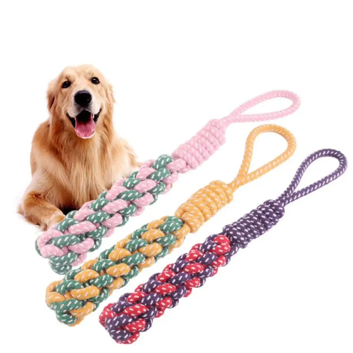CN Zhejiang Dog Rope Chew Toy Durable Braided Nylon Rope