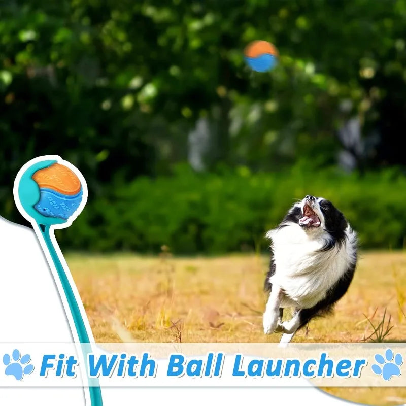 Hign-Concerned Dog Ball Toys for Training and Fetch Bounce