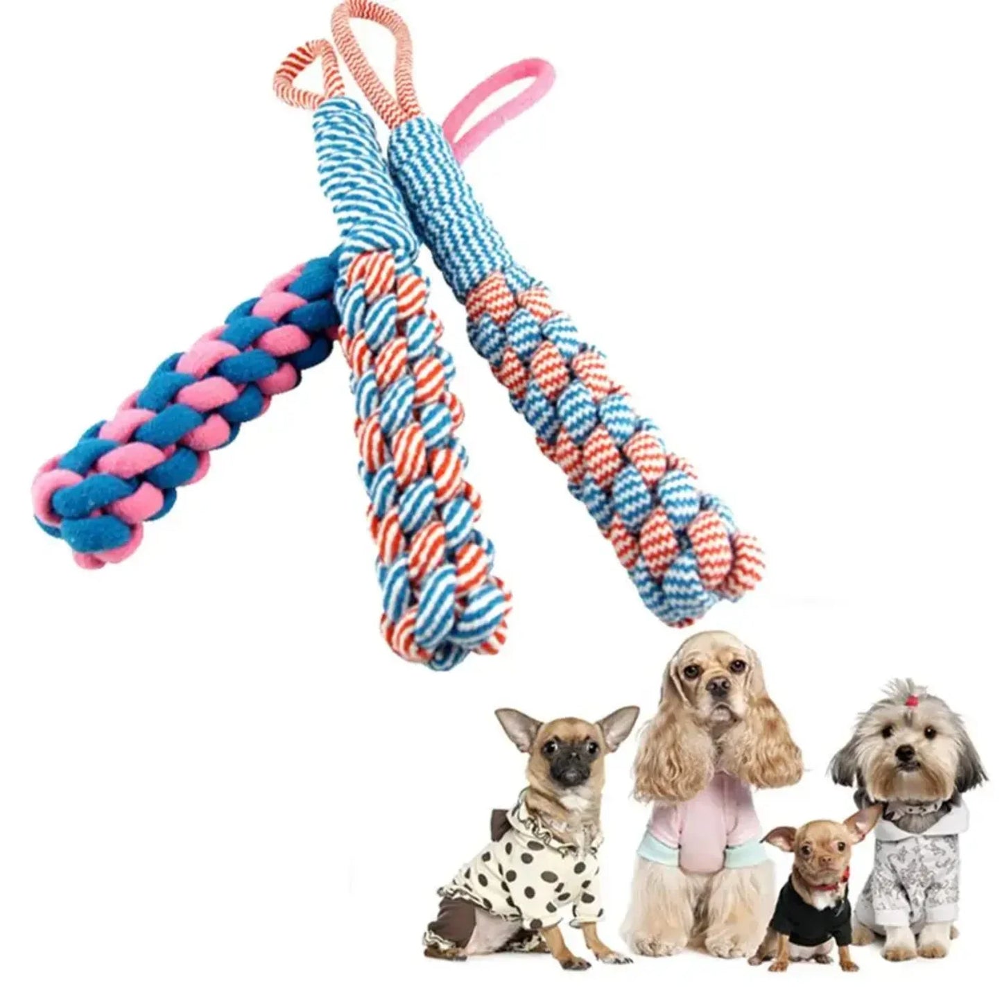 CN Zhejiang Dog Rope Chew Toy Durable Braided Nylon Rope
