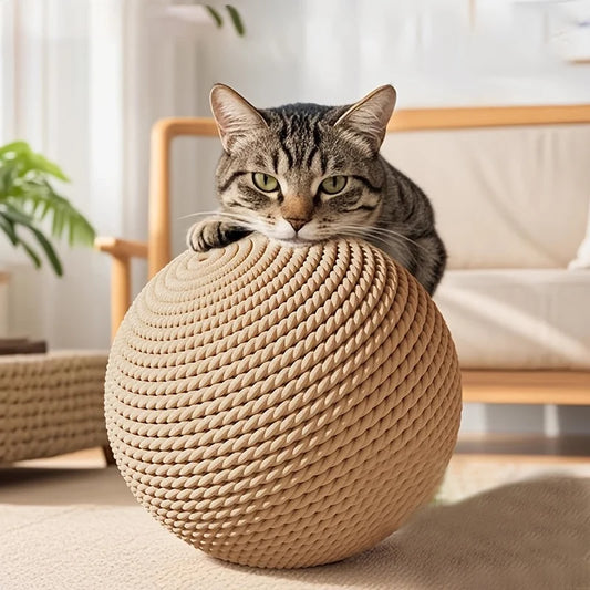 Sisal Cat Ball Toy Interactive Scratcher And Dental Chew Toy