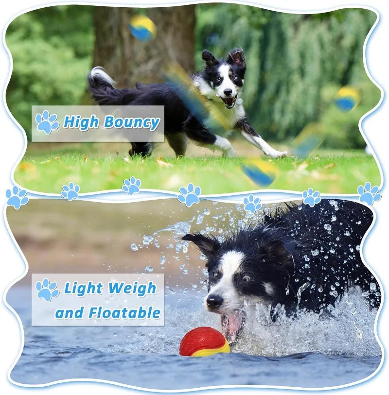 Hign-Concerned Dog Ball Toys for Training and Fetch Bounce