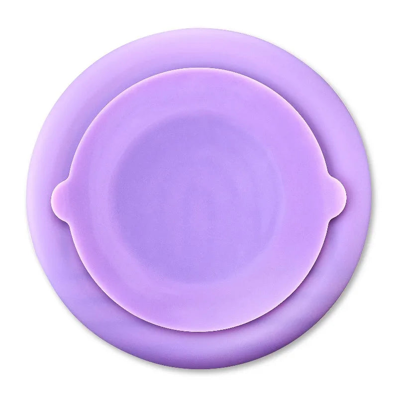 Silicone Slow Feeder Bowl for Pets Interactive Mealtime Enrichment