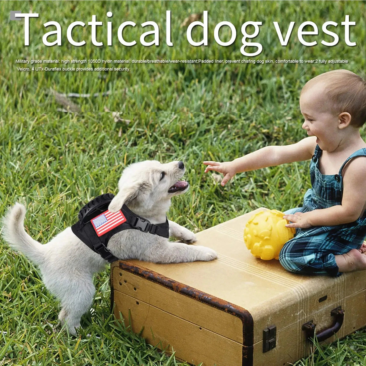 PETRAVEL Tactical Puppy Harness And Leash Set For Training