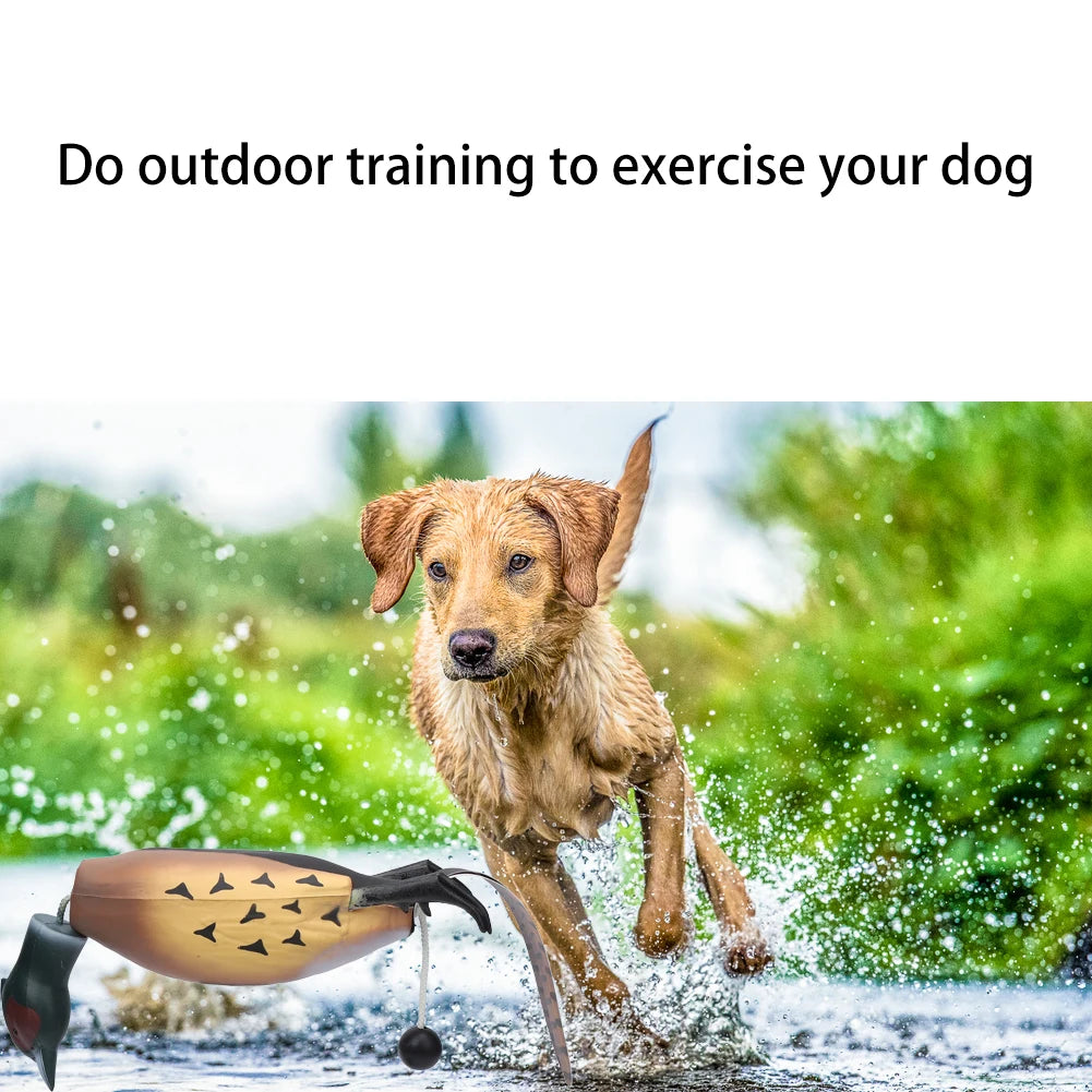 HiMIS Pheasant Dog Training Dummy Bumper Toy for Retrievers