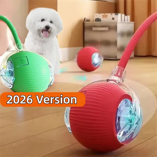 Interactive Dog Ball Toy Automatic Rolling Rechargeable Smart Toy