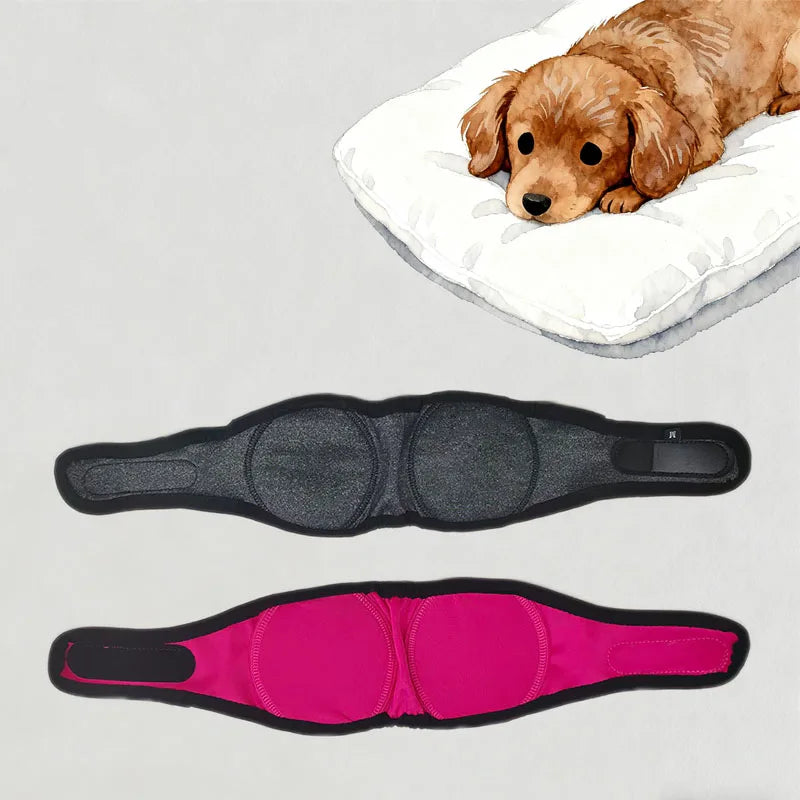 Adjustable Pet Earmuffs With Noise Reduction For Dogs