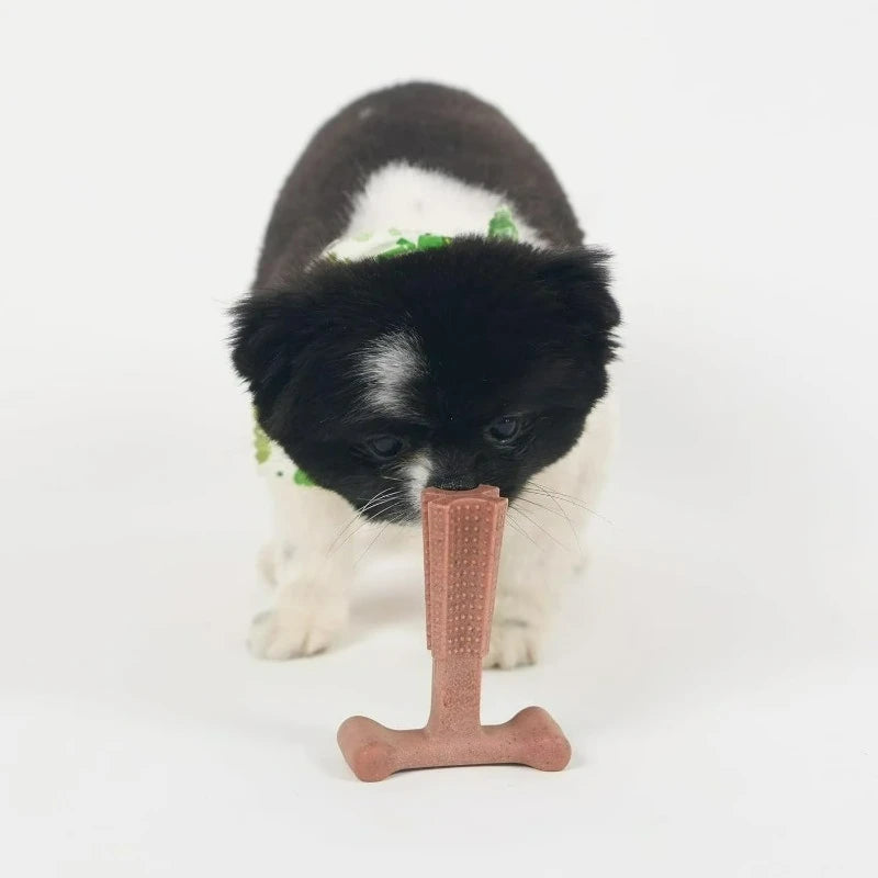 T Bone Beef Flavored Nylon Chew Toy for Aggressive Dogs