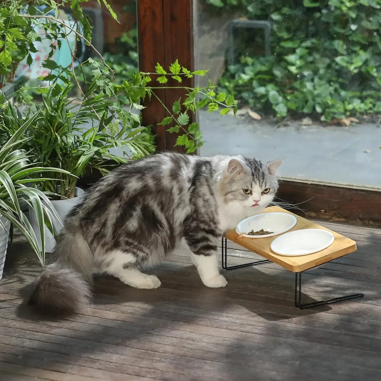 Hign-concerned Elevated Ceramic Cat Bowl Tilted Food Stand