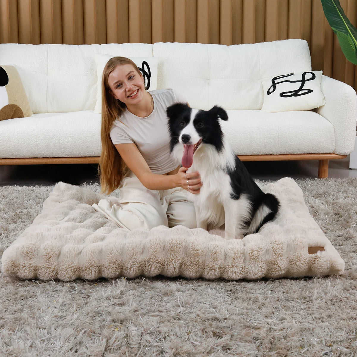 BINGOPAW Plush Calming Dog Bed With Removable Cover Foam Base