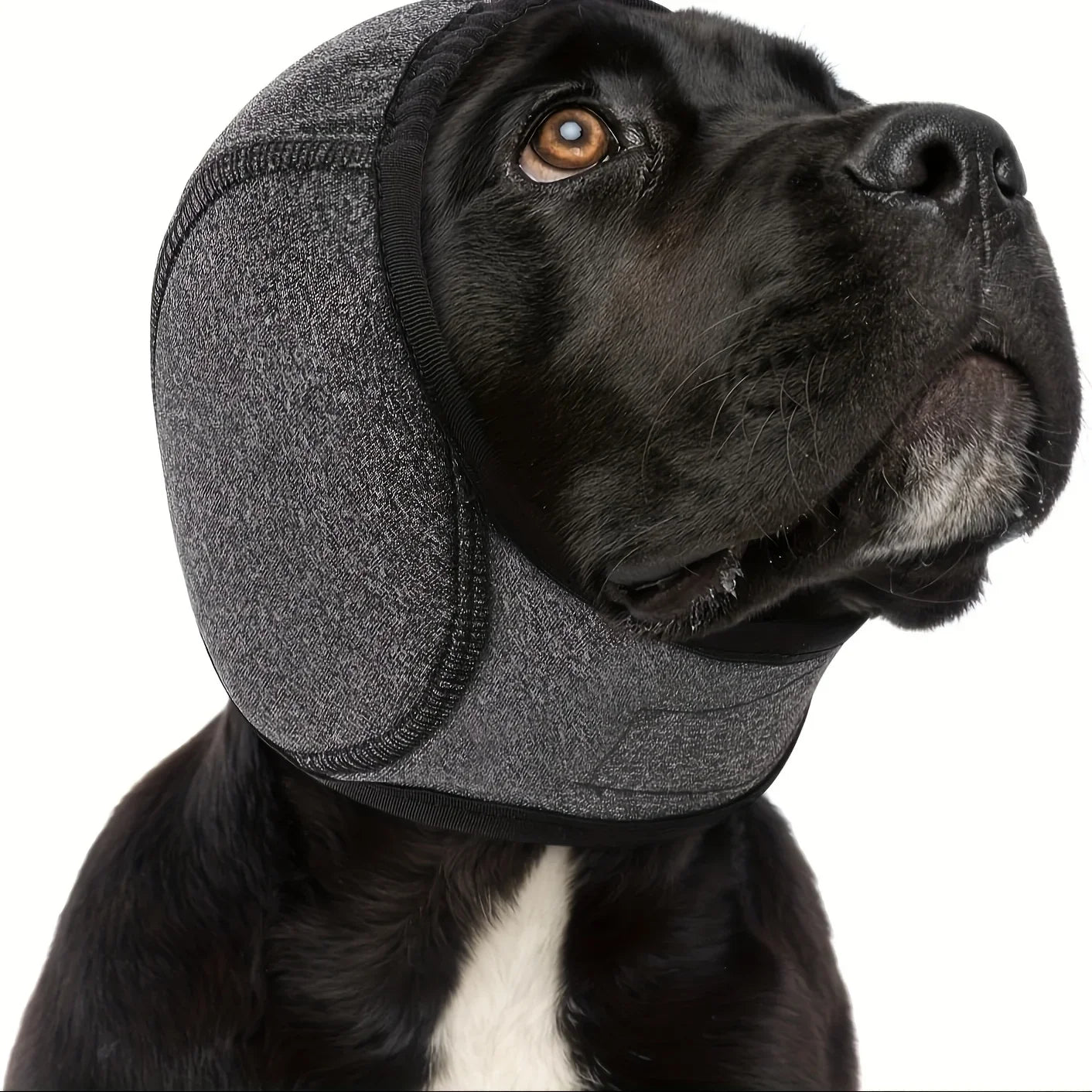 Adjustable Pet Earmuffs With Noise Reduction For Dogs