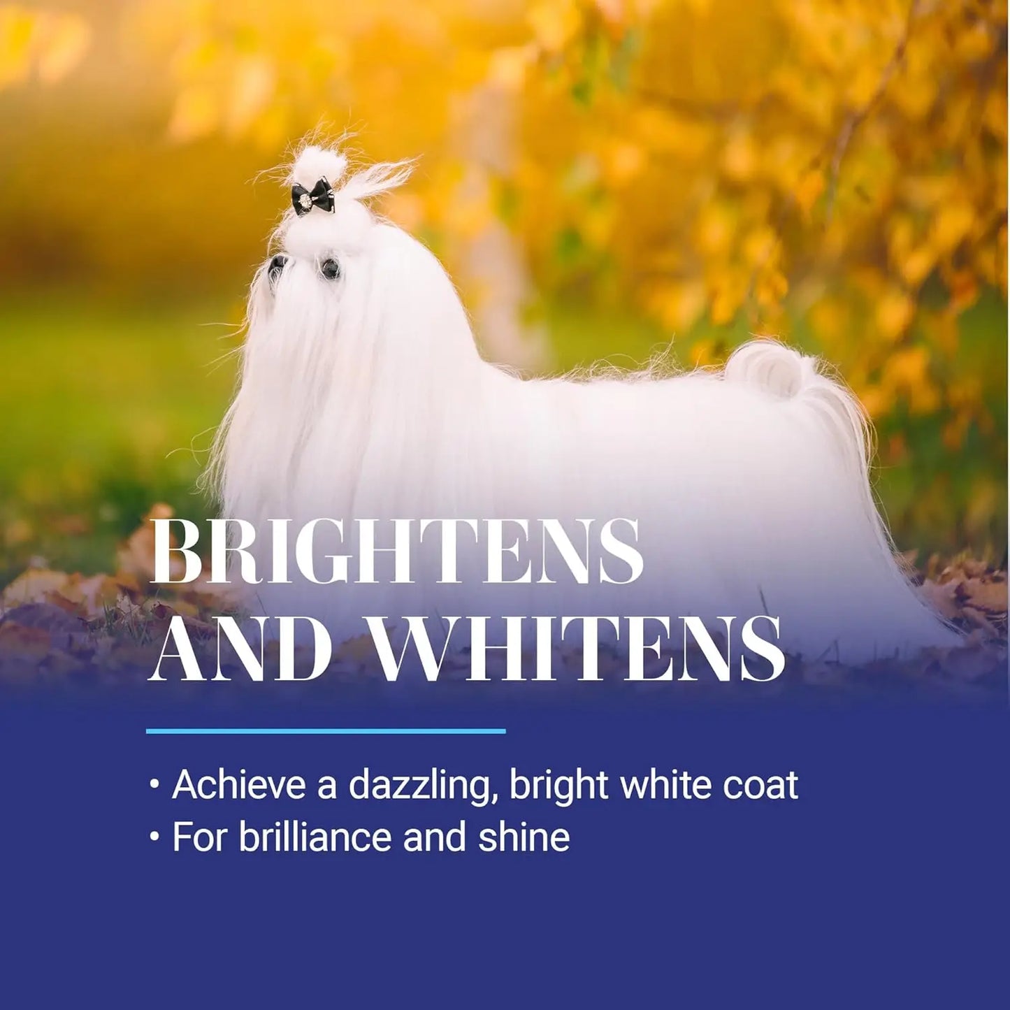 XMSJ Whitening Treatment Dog Shampoo for Pets Everyday